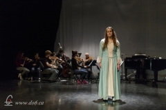 Les Misérables 2015-01-17