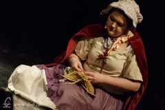 Les Misérables 2015-01-17