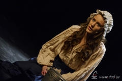 Les Misérables 2015-01-17