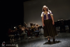 Les Misérables 2015-01-17