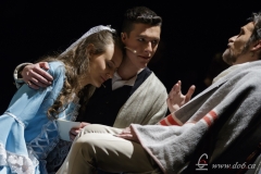 Les Misérables 2015-01-17